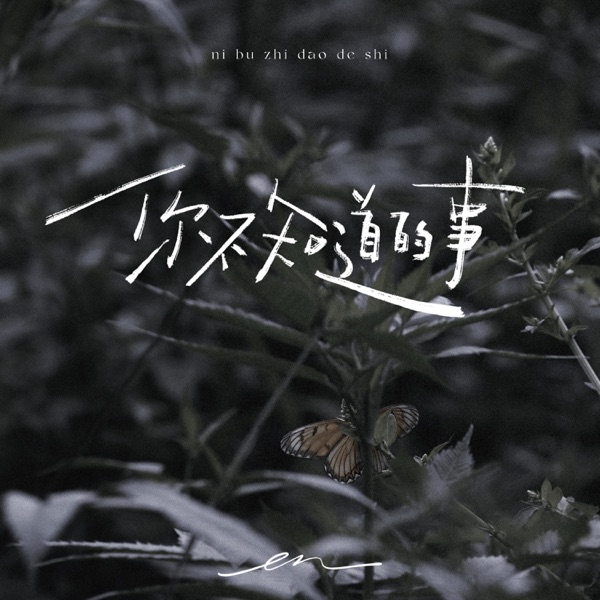 You will never know - Single album cover