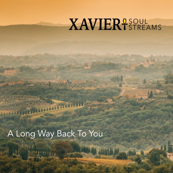 A Long Way Back To You - Single album cover