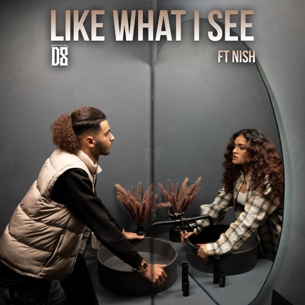 Like What I See (feat. Nish) - Single album cover