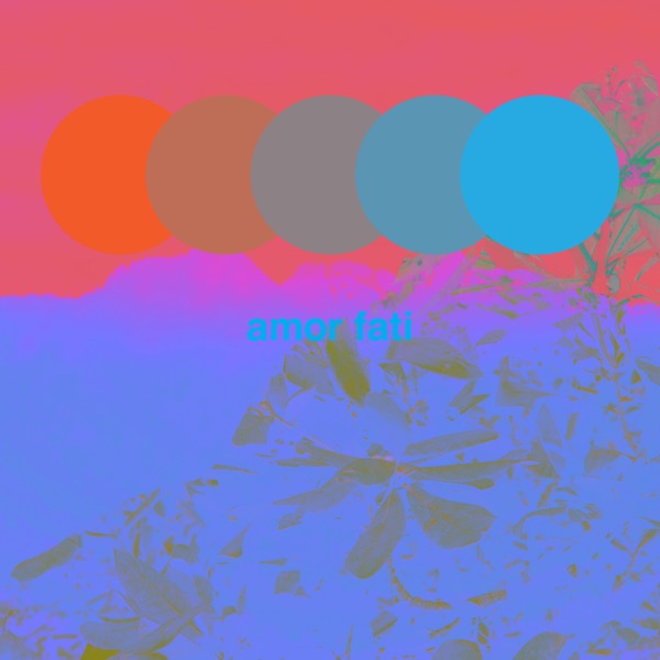 Amor Fati (feat. James Valentine & Jacob Scesney) - Single album cover