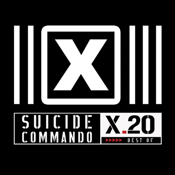 X.20 (Best Of) album cover
