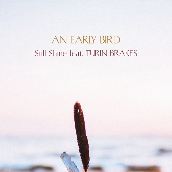 Still Shine (feat. Turin Brakes) - Single album cover