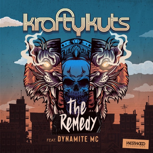 The Remedy - Single album cover