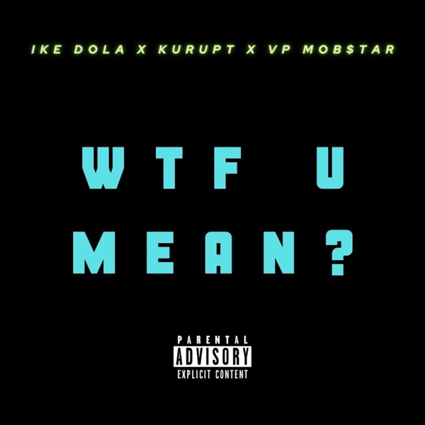 WTF U Mean (feat. Kurupt, Tha Dogg Pound & VP Mob$tar) - Single album cover
