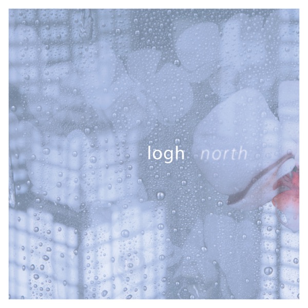 North album cover