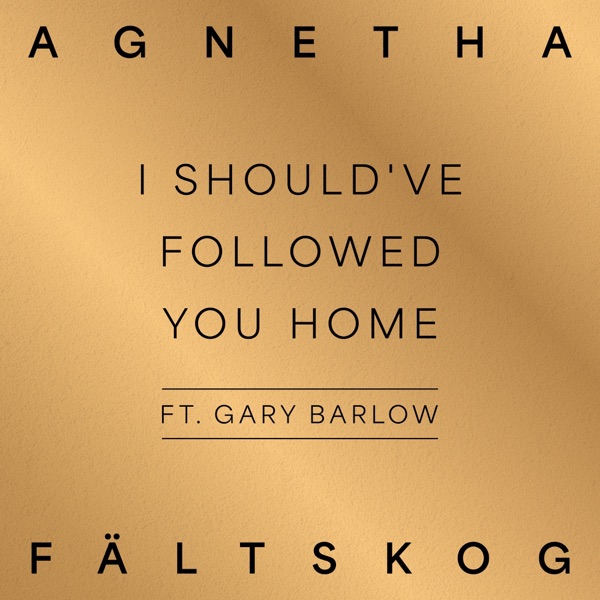 I Should've Followed You Home (feat. Gary Barlow) - Single album cover