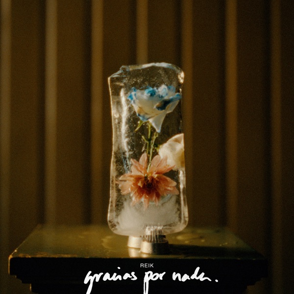 Gracias por Nada album cover