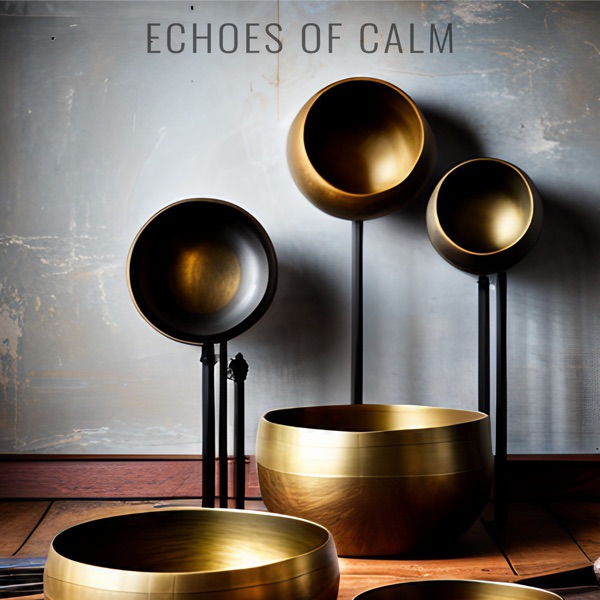 Echoes of Calm - Single album cover