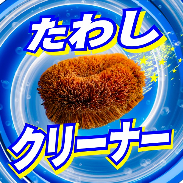 Tawashi Cleaner (feat. Hatsune Miku) - Single album cover