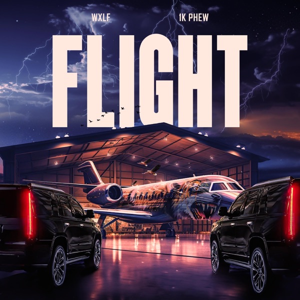 FLIGHT (feat. 1K Phew) - Single album cover