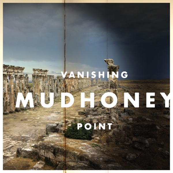 Vanishing Point album cover