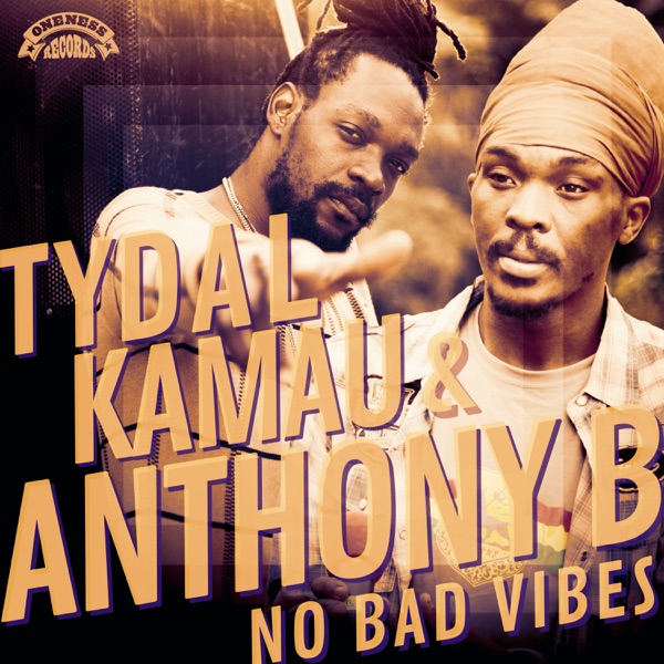 No Bad Vibes - Single album cover