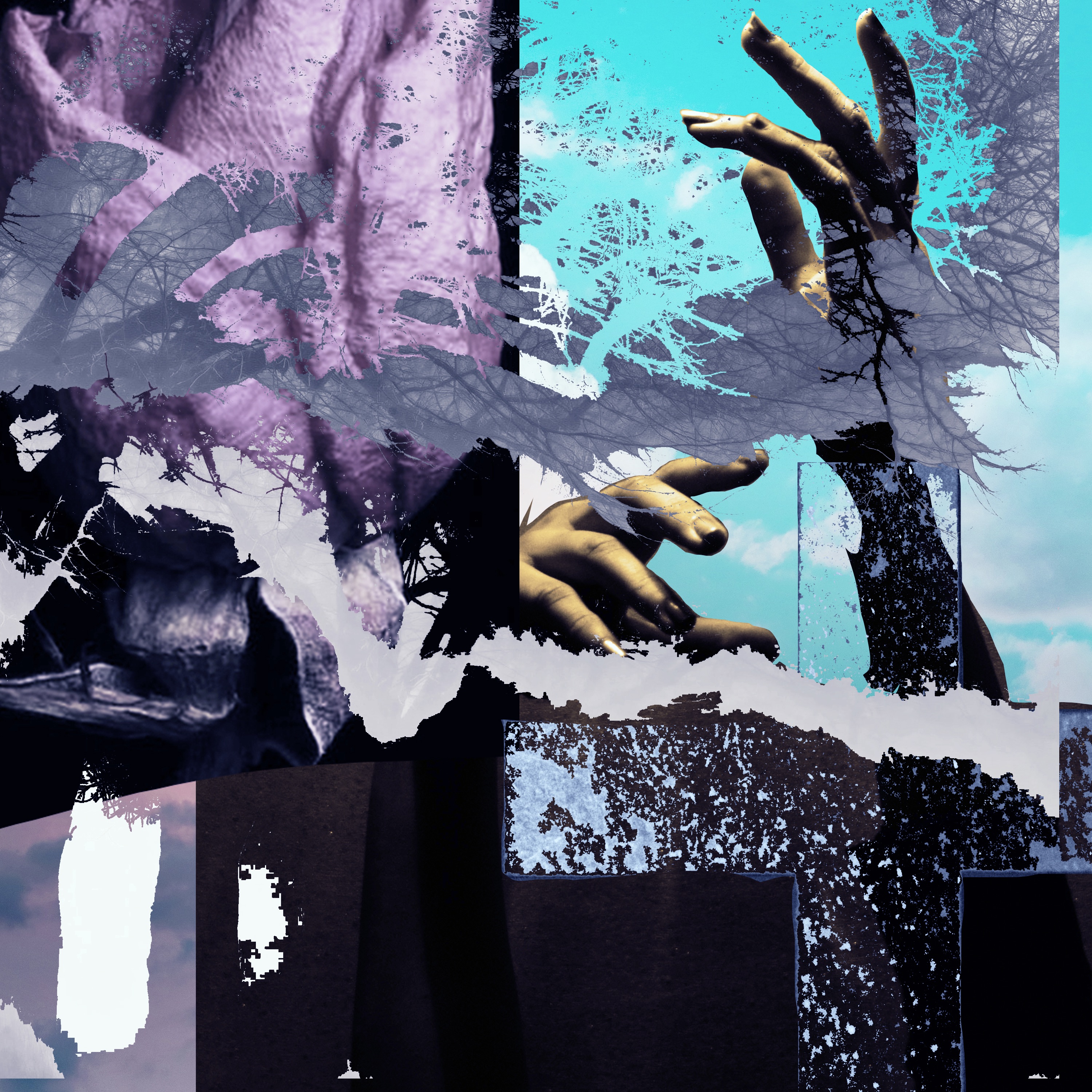 To the Sky album cover