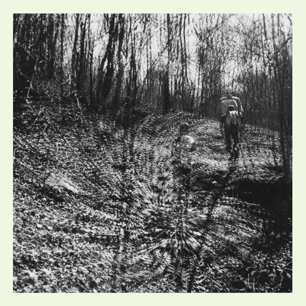 Night Sea - Single album cover