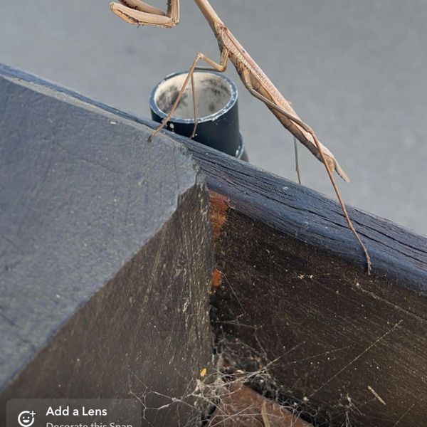 Tearsinureyes (feat. aldn) - Single album cover