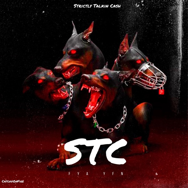 Strictly Talkin Cash (feat. YFN) - Single album cover