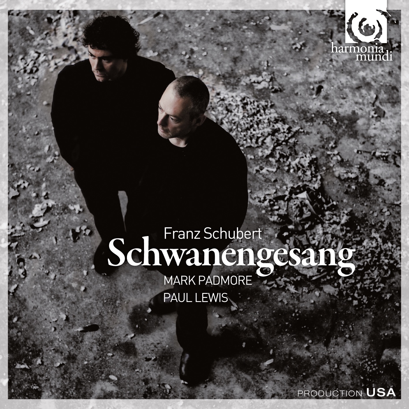 Schubert: Schwanengesang album cover