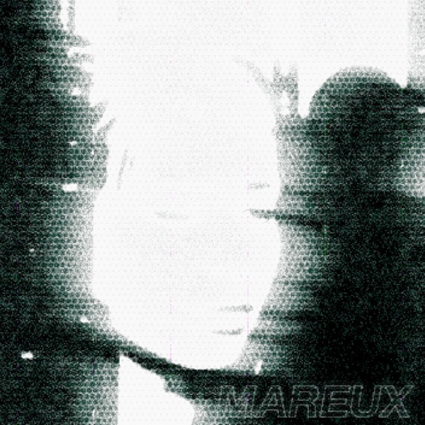 The Perfect Girl - Single album cover