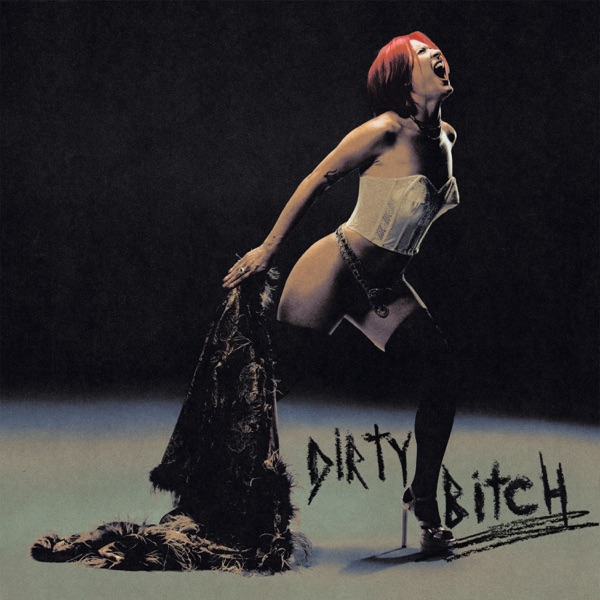 Dirty Bitch - Single album cover