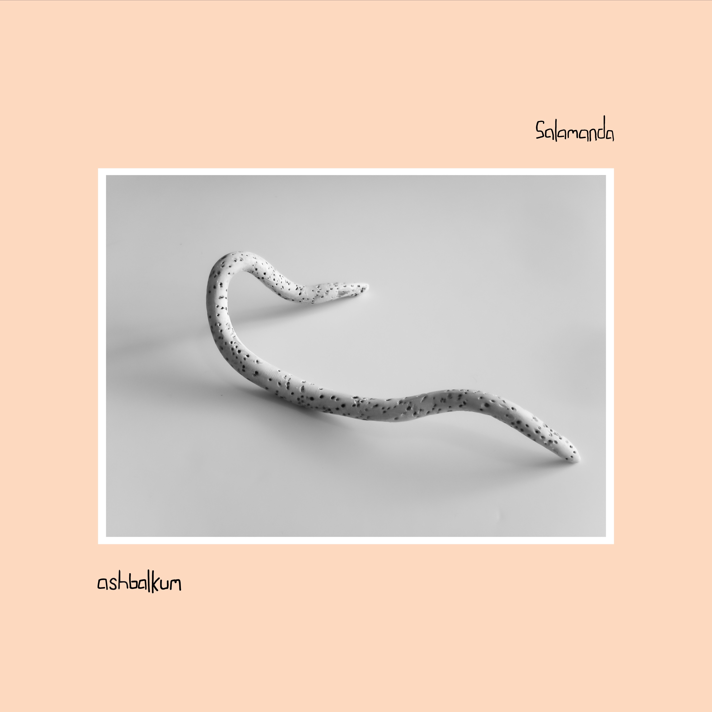 ashbalkum album cover