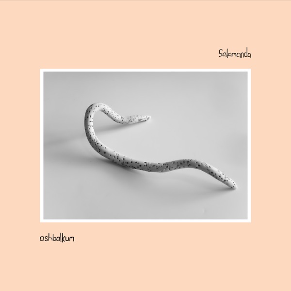 ashbalkum album cover