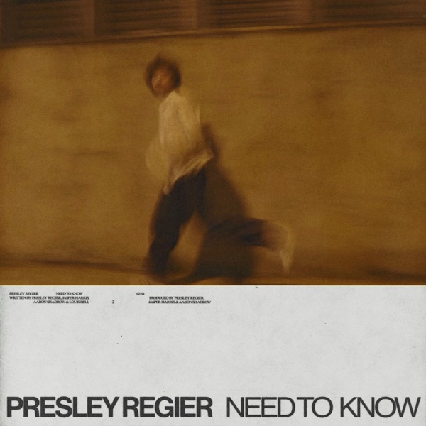 Need To Know - Single album cover