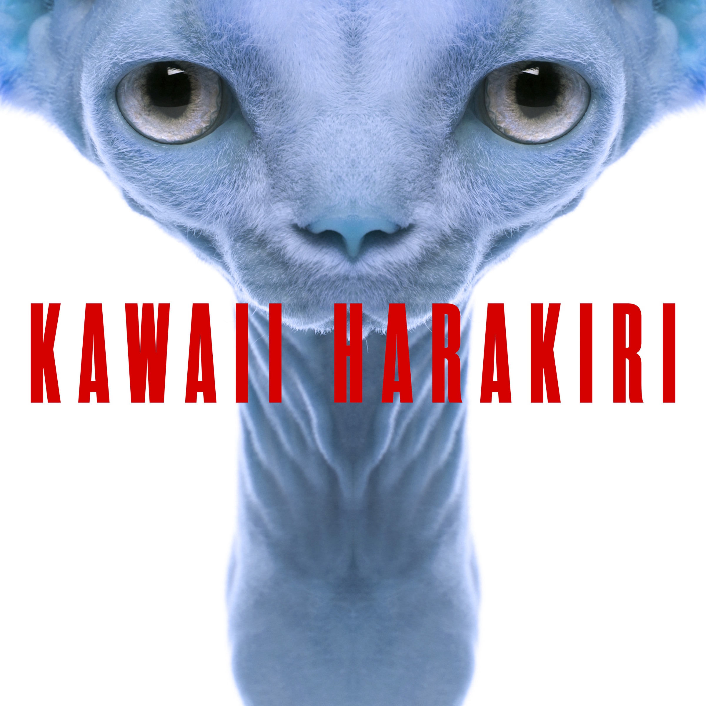 KAWAII HARAKIRI - Single album cover