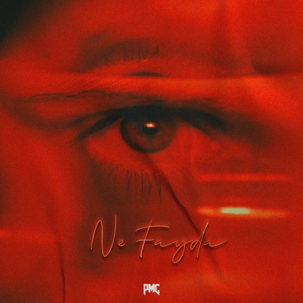 Ne Fayda - Single album cover