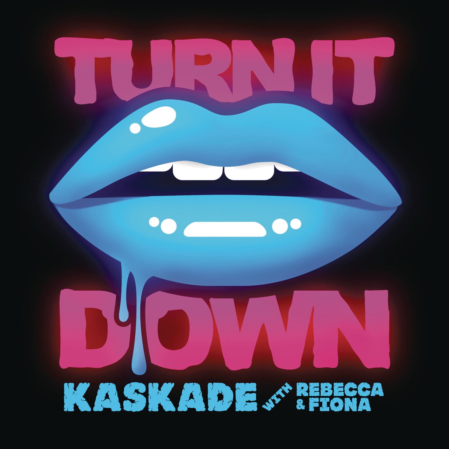 Turn It Down (with Rebecca & Fiona) - Single album cover