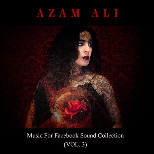 Music For Facebook Sound Collection (VOL. 3) album cover