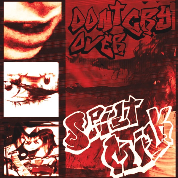 Don't Cry Over Spilt Milk - Single album cover
