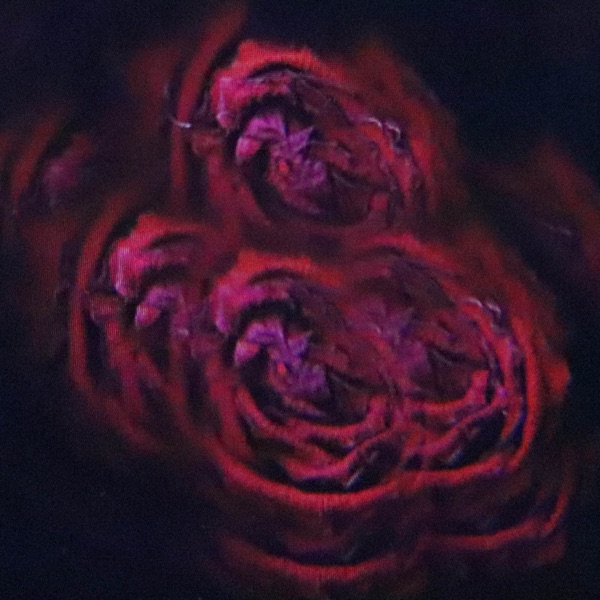 Not What You Expected (Plaid Remix) - Single album cover
