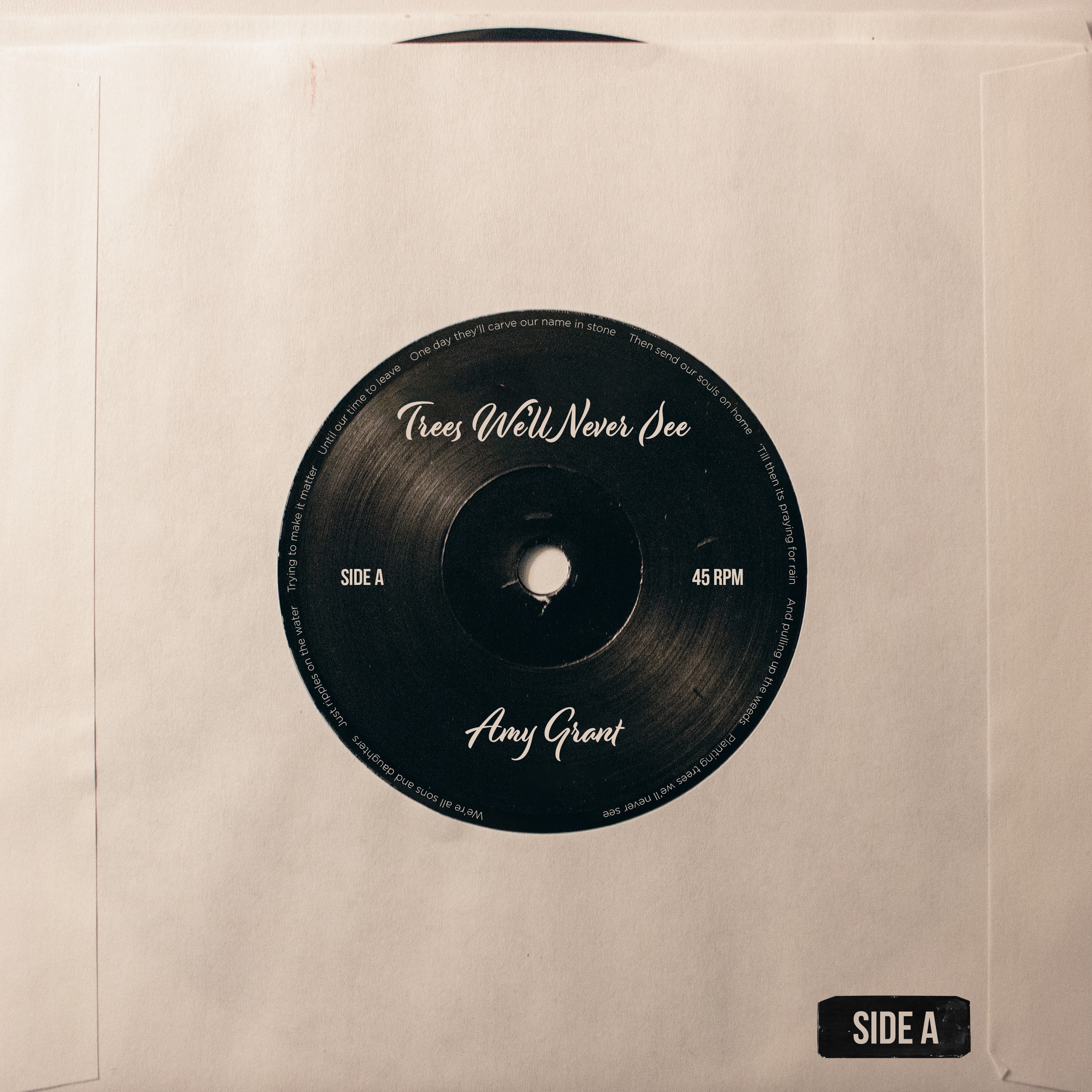 Trees We'll Never See - Single album cover