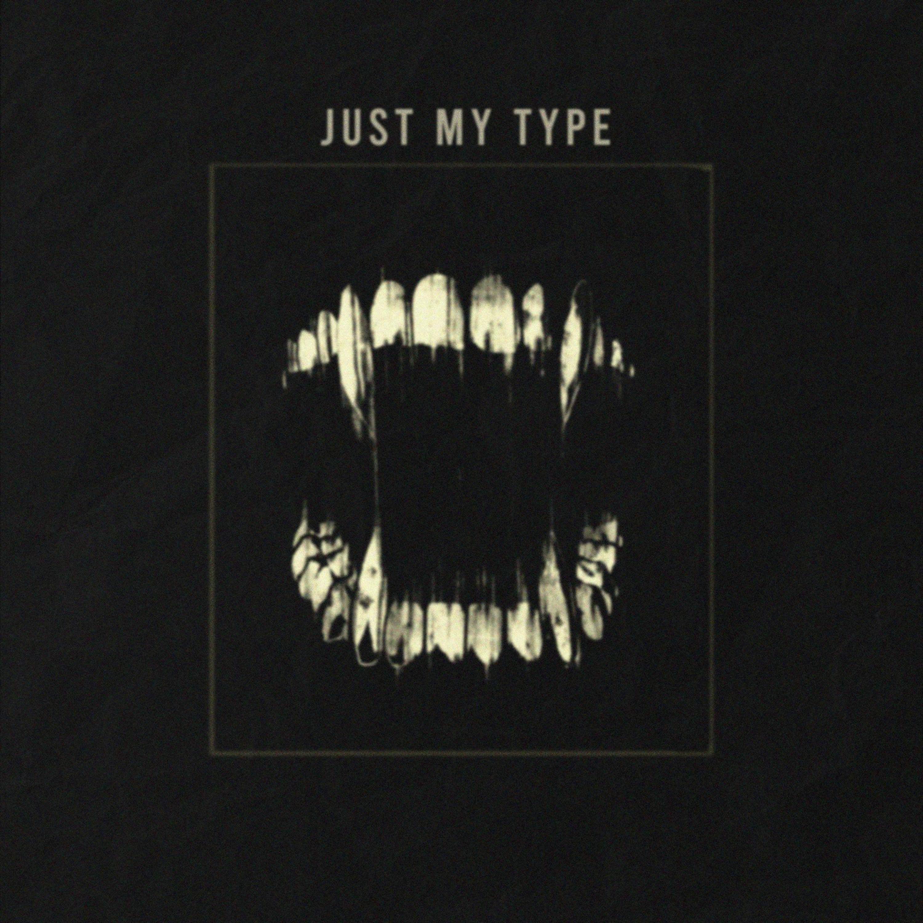 Just My Type - Single album cover