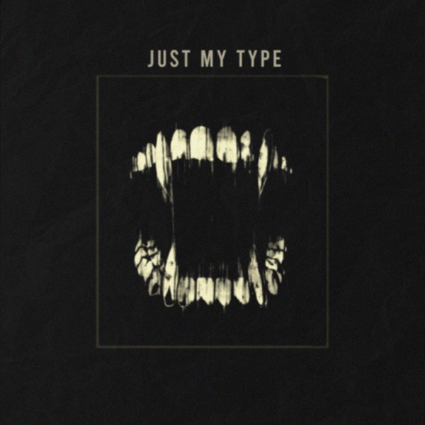 Just My Type - Single album cover