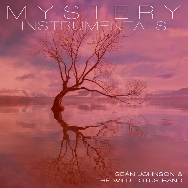 Mystery (Instrumental) album cover