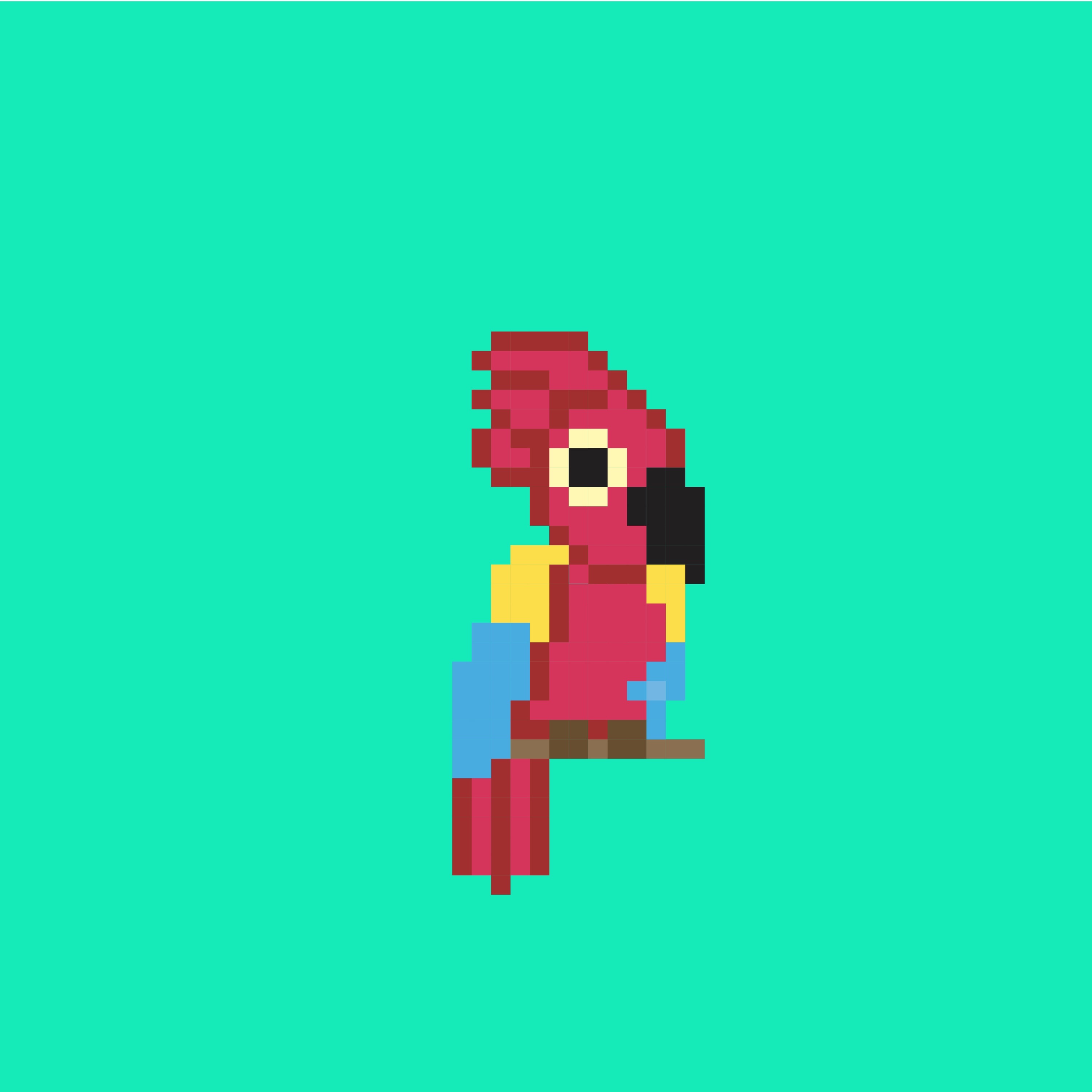 The Parrot - Single album cover