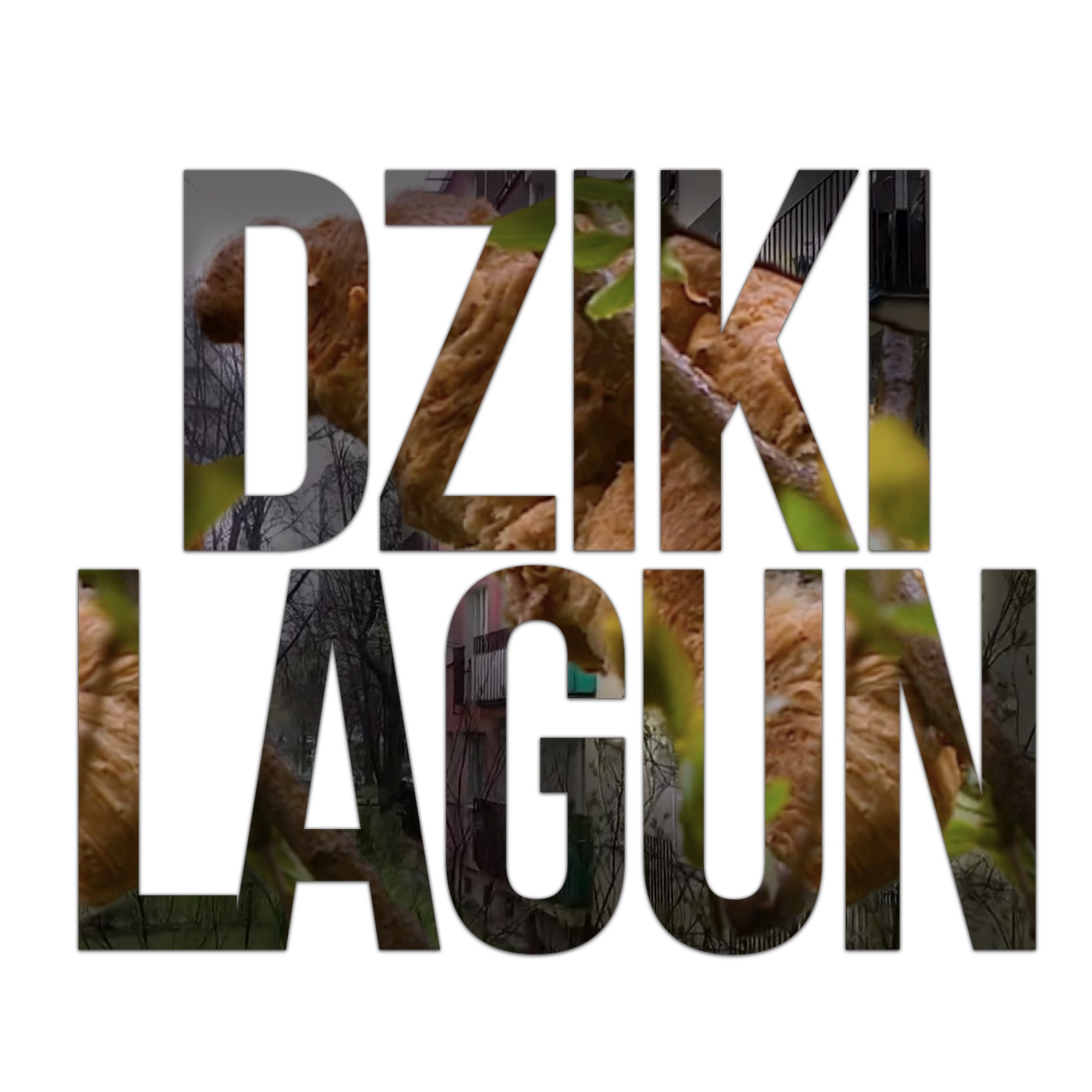 Dziki Lagun - Single album cover