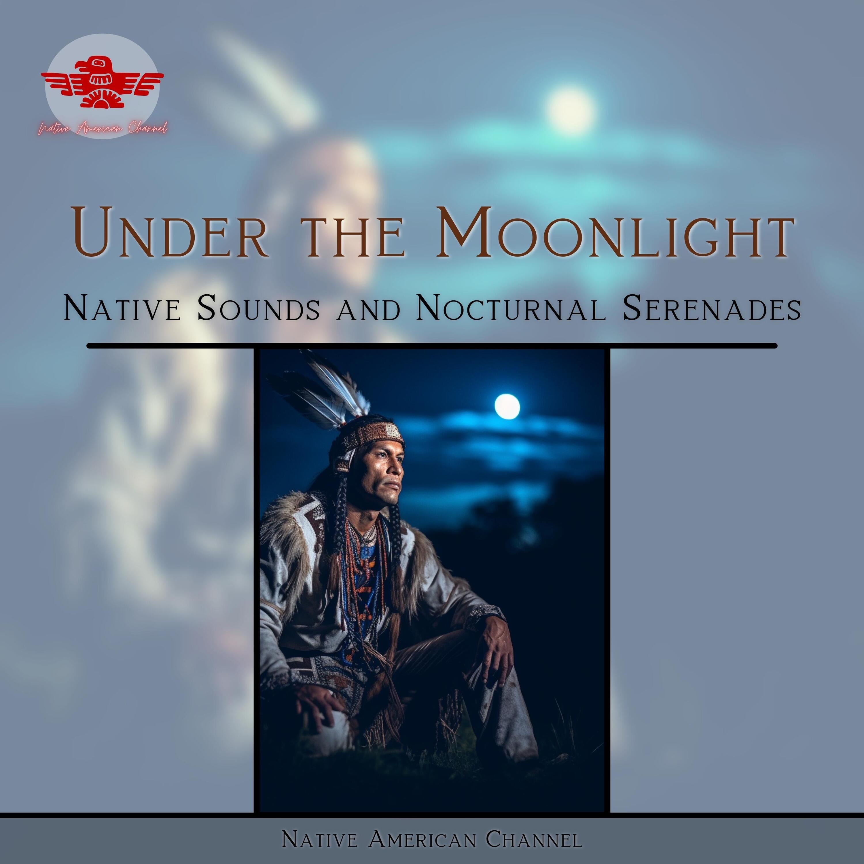 Under the Moonlight: Native Sounds and Nocturnal Serenades album cover