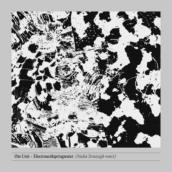 Electroacidspringwater (Nadia Struiwigh Remix) - Single album cover