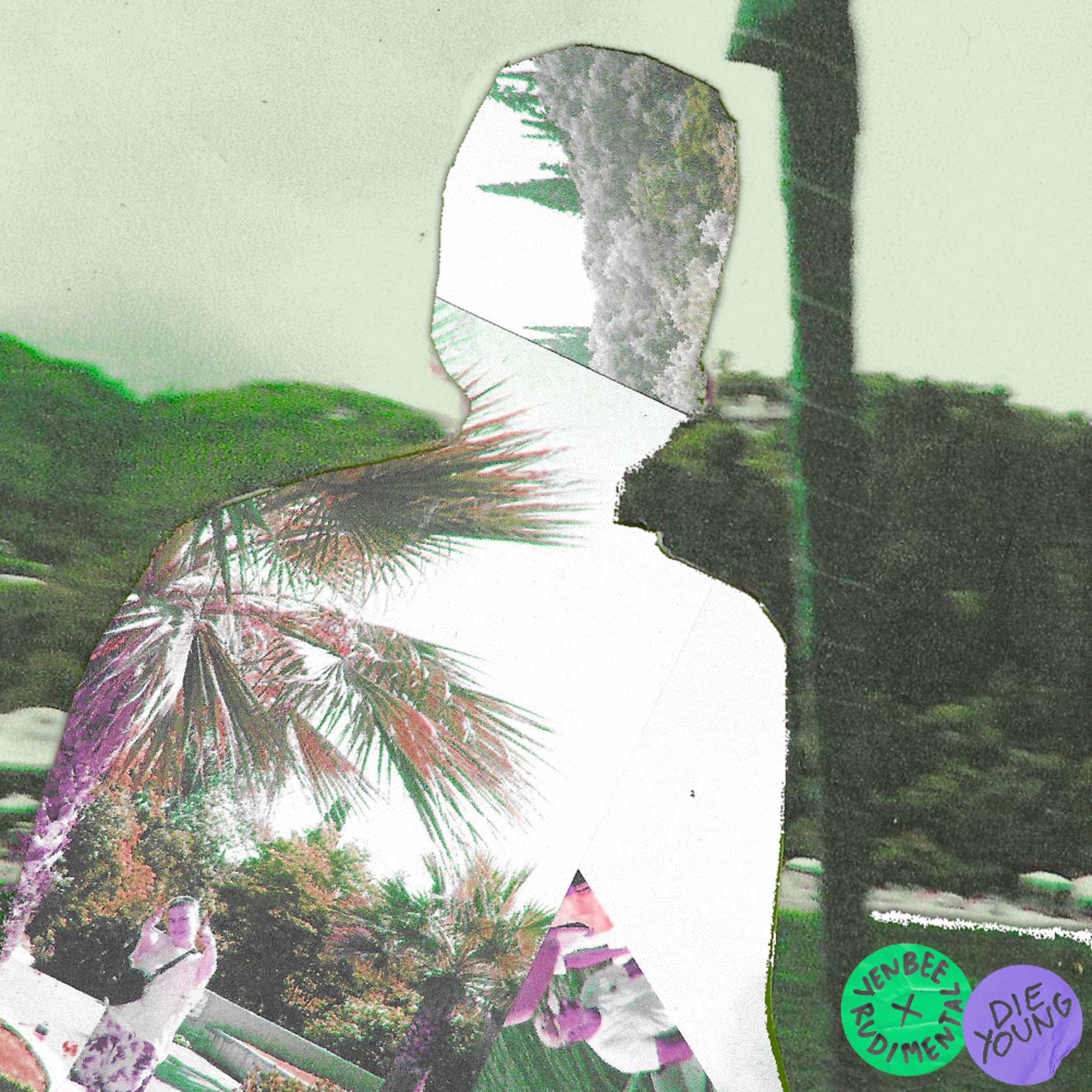 die young (acoustic) - Single album cover