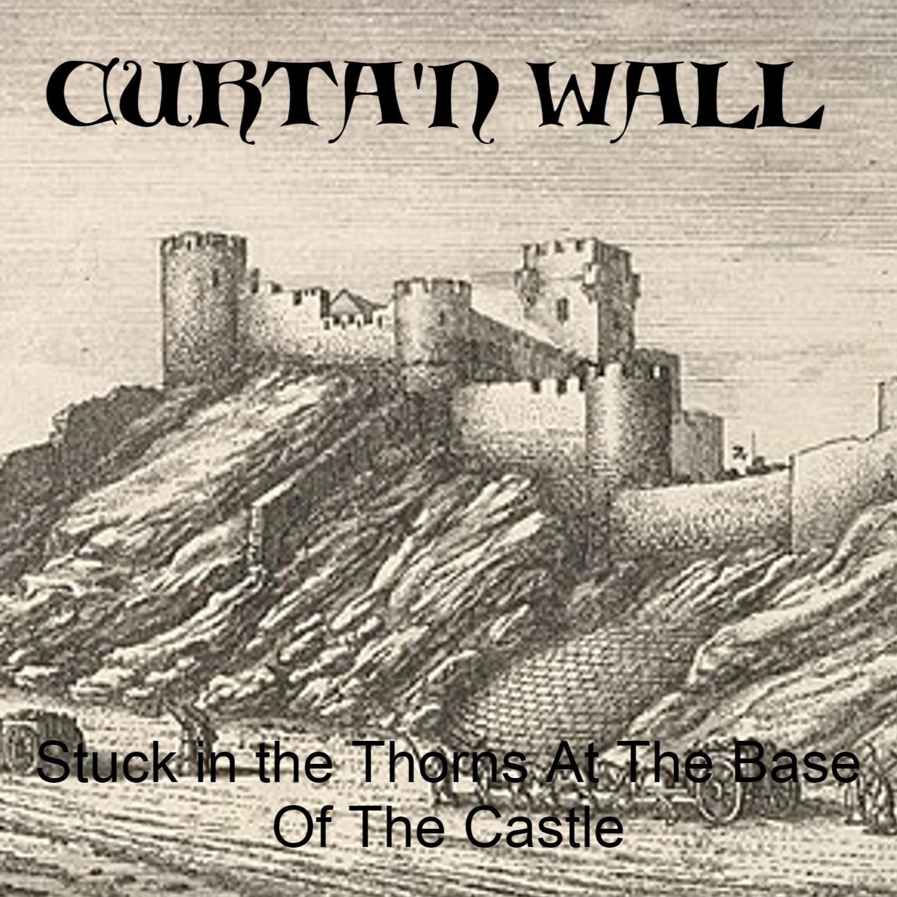 Stuck In the Thorns At the Base of the Castle - Single album cover