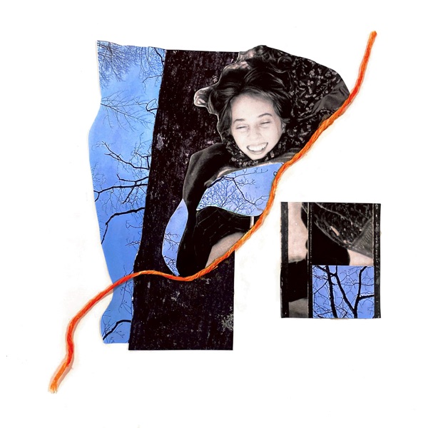 Blue Hippo - Single album cover