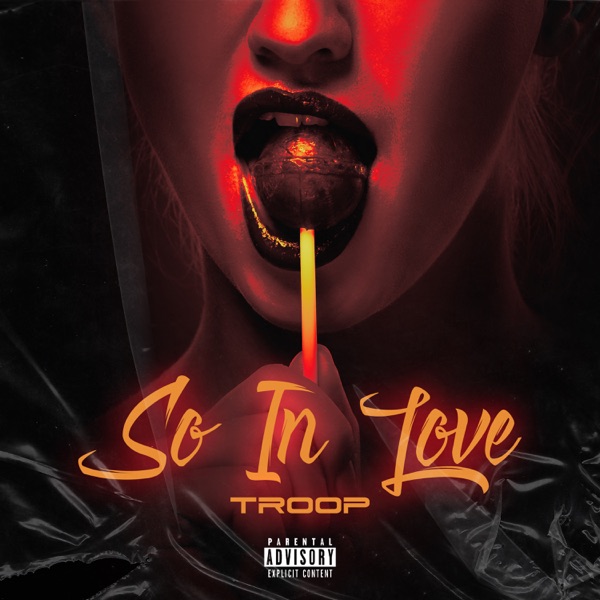 So In Love - Single album cover
