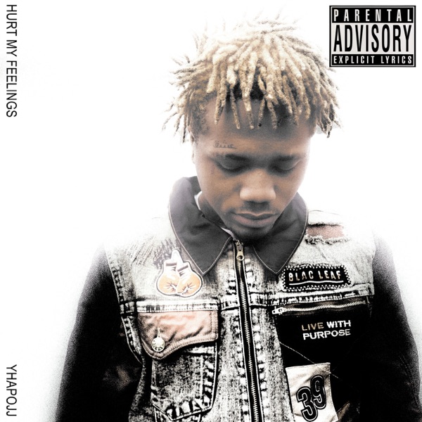 Hurt My Feelings - Single album cover