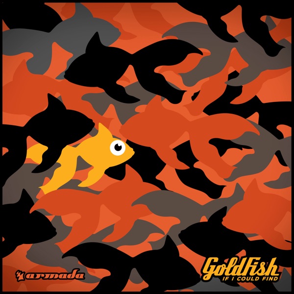 If I Could Find - Single album cover