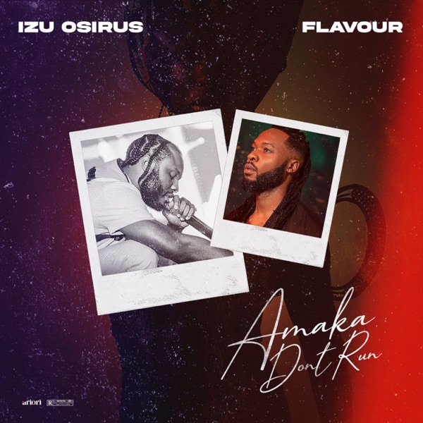 Amaka Don't Run (feat. Flavour) - Single album cover