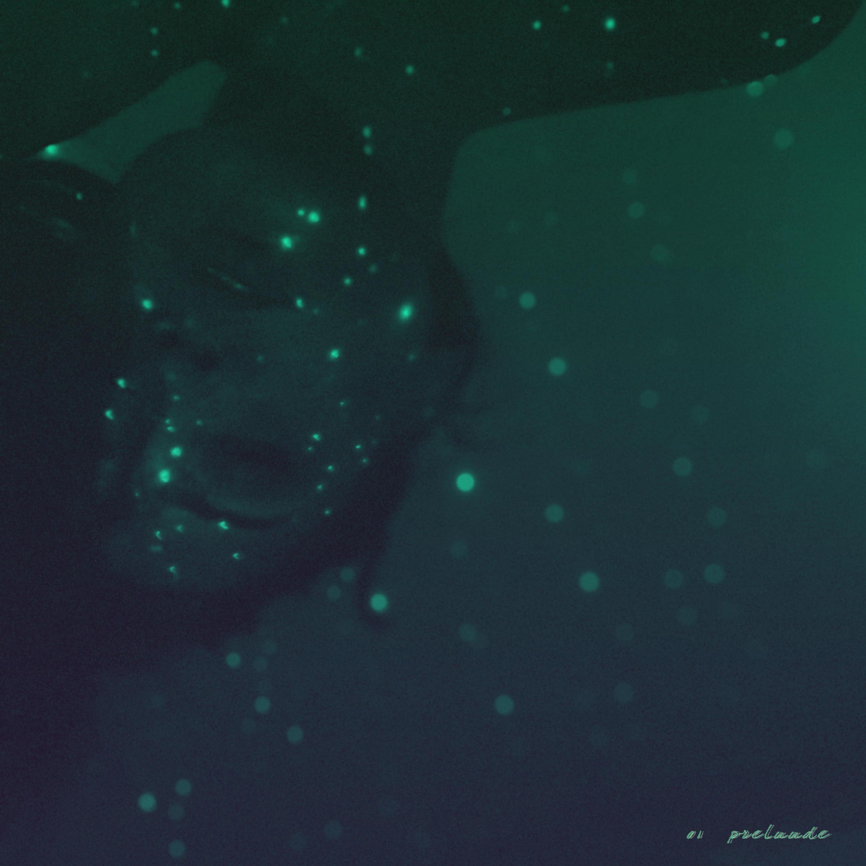 PreLuude - Single album cover