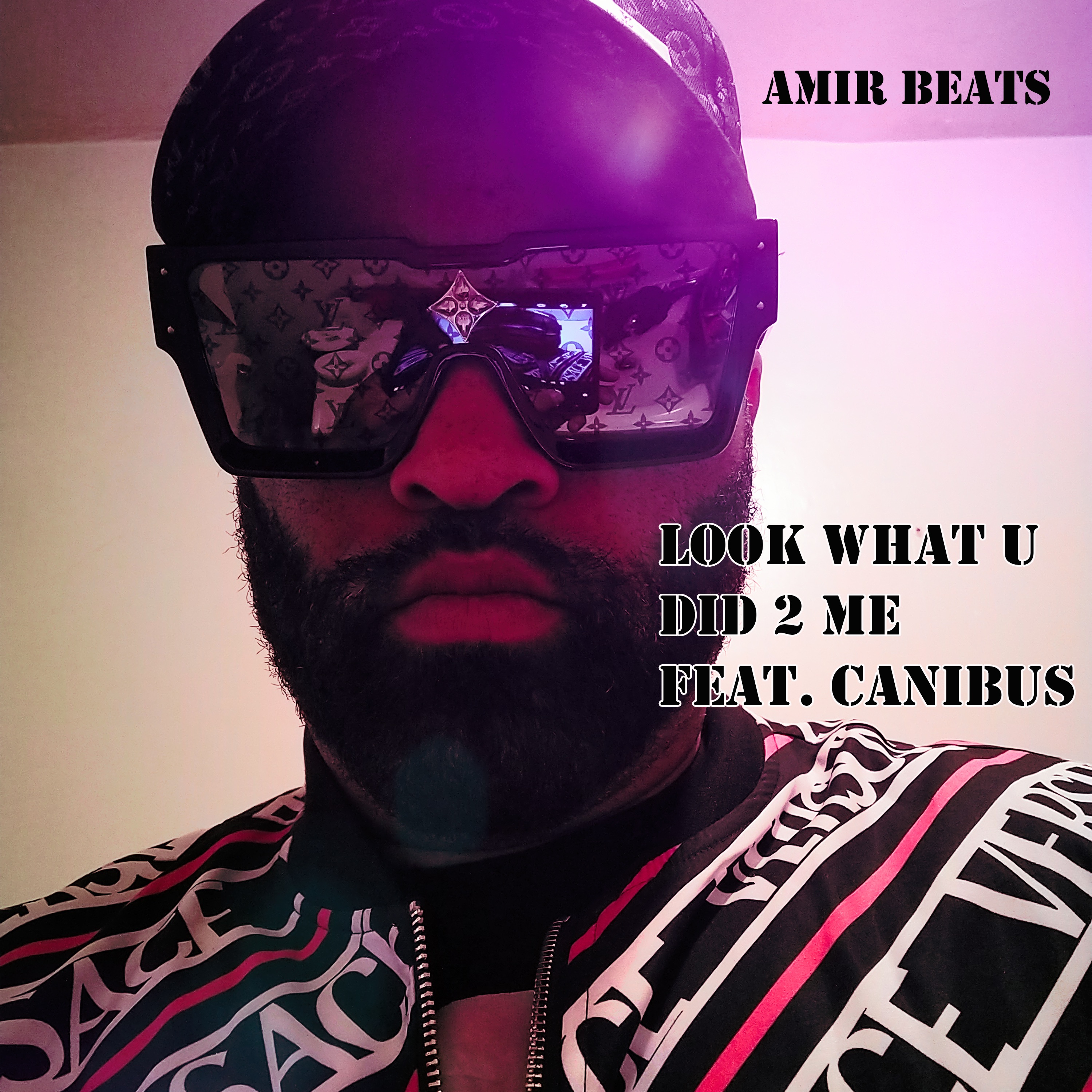 Look What U Did 2 Me (feat. Canibus) - Single album cover