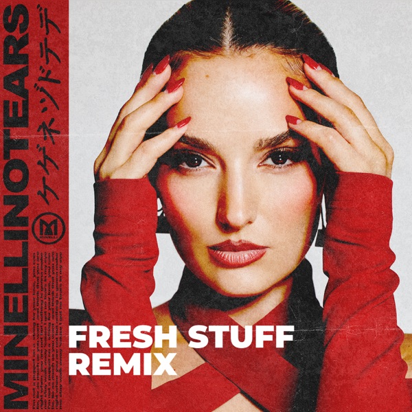 No Tears (Fresh Stuff Remix) - Single album cover